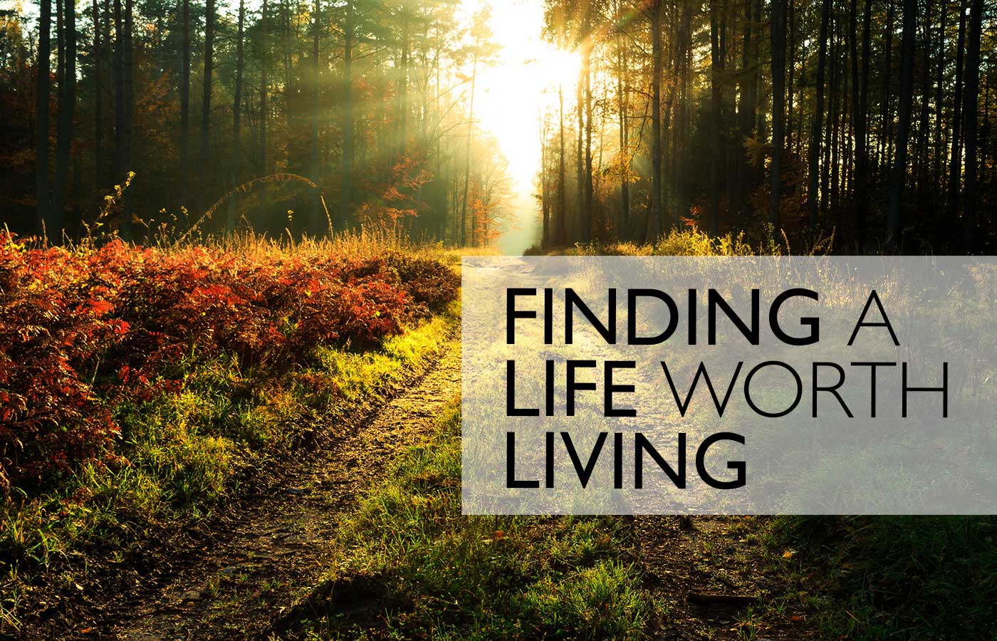 Finding A Life Worth Living - Sober Living in Los Angeles | New Life House