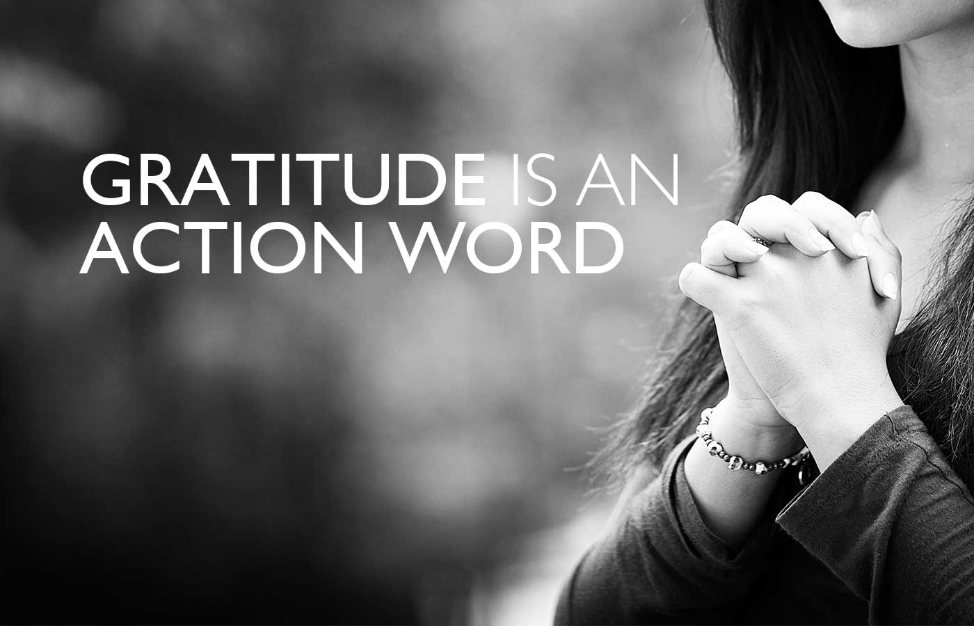 What Is A Good Sentence For The Word Gratitude