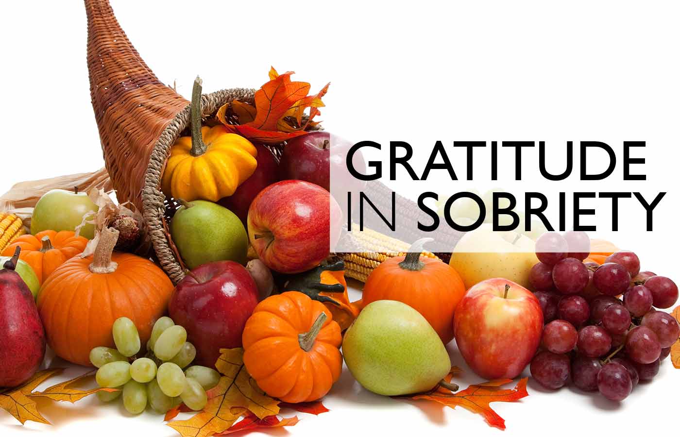 Gratitude In Sobriety - Sober Living In Los Angeles | New Life House