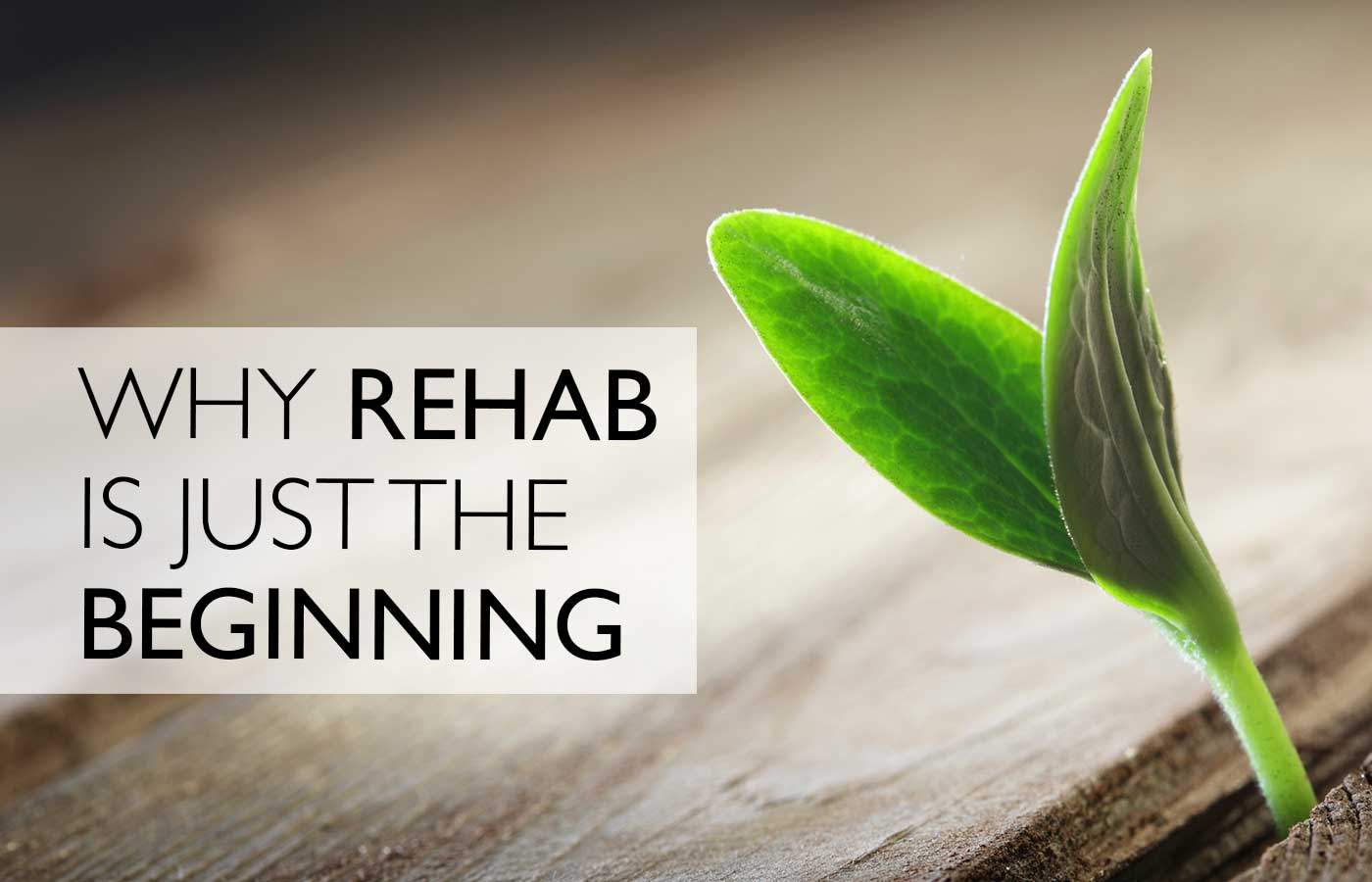 Why Rehab is Just the Beginning - New Life House - Southern California