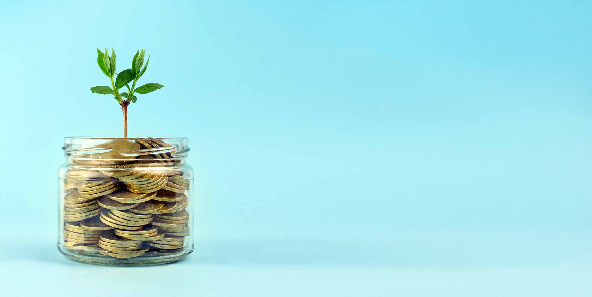 Photo of a har of coins with a plant starting to grow out of it, signifying recovery capital