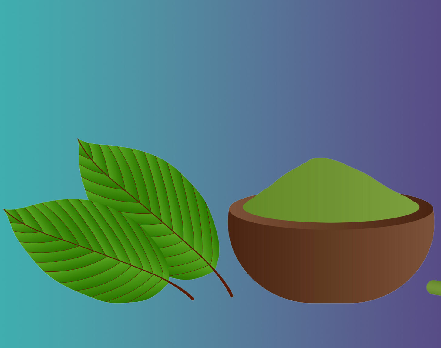 illustration of a kratom leaf, powder, and capsules representing kratom addiction