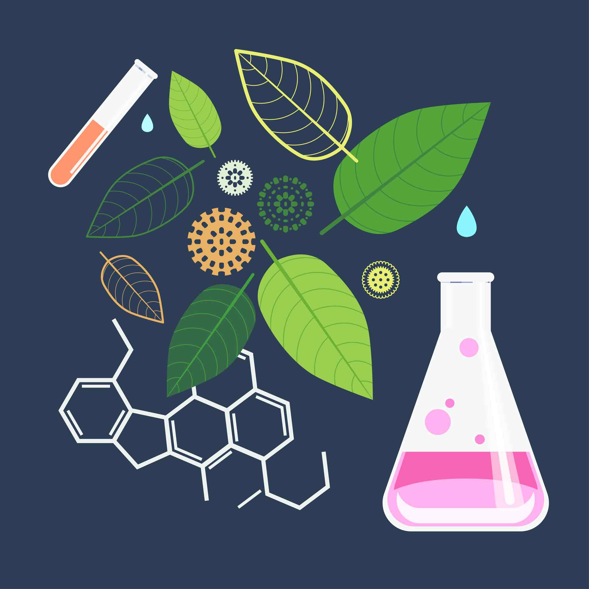 The Rise of 7oh Kratom Abuse (7-hydroxymitragynine)